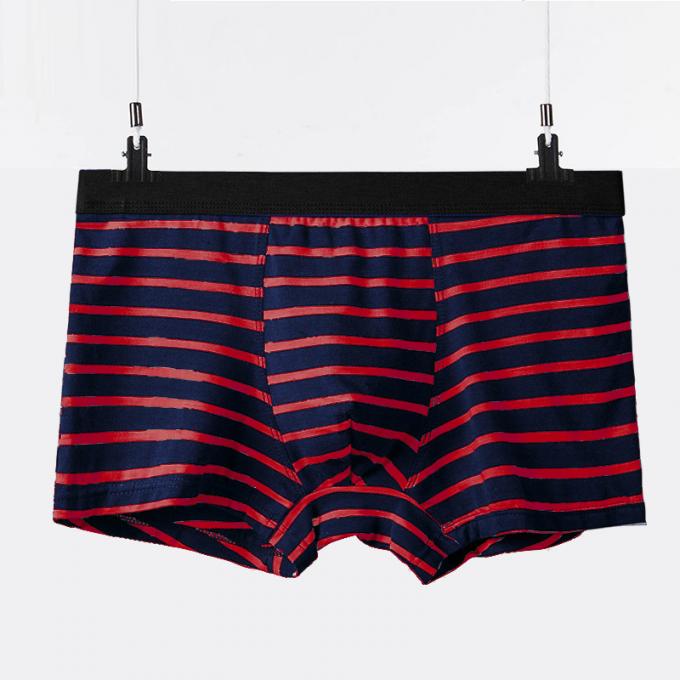 XXXL 165kg 95kg Đồ lót nam cotton gợi cảm Quần lót cotton tinh khiết Người lớn Sọc thể thao 0