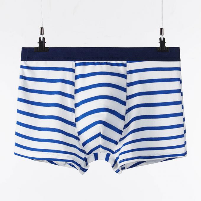 XXXL 165kg 95kg Đồ lót nam cotton gợi cảm Quần lót cotton tinh khiết Người lớn Sọc thể thao 7