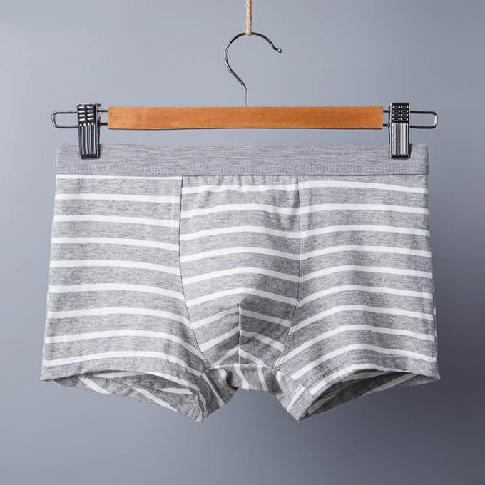 XXXL 165kg 95kg Đồ lót nam cotton gợi cảm Quần lót cotton tinh khiết Người lớn Sọc thể thao 5