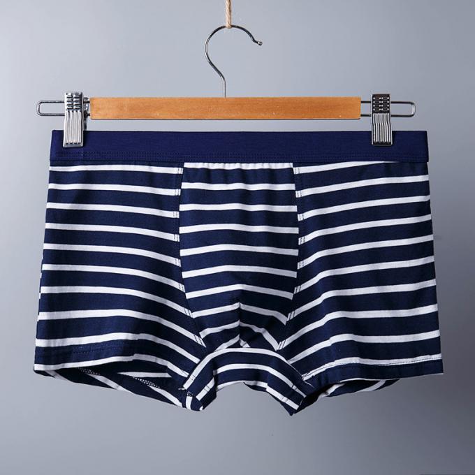 XXXL 165kg 95kg Đồ lót nam cotton gợi cảm Quần lót cotton tinh khiết Người lớn Sọc thể thao 4